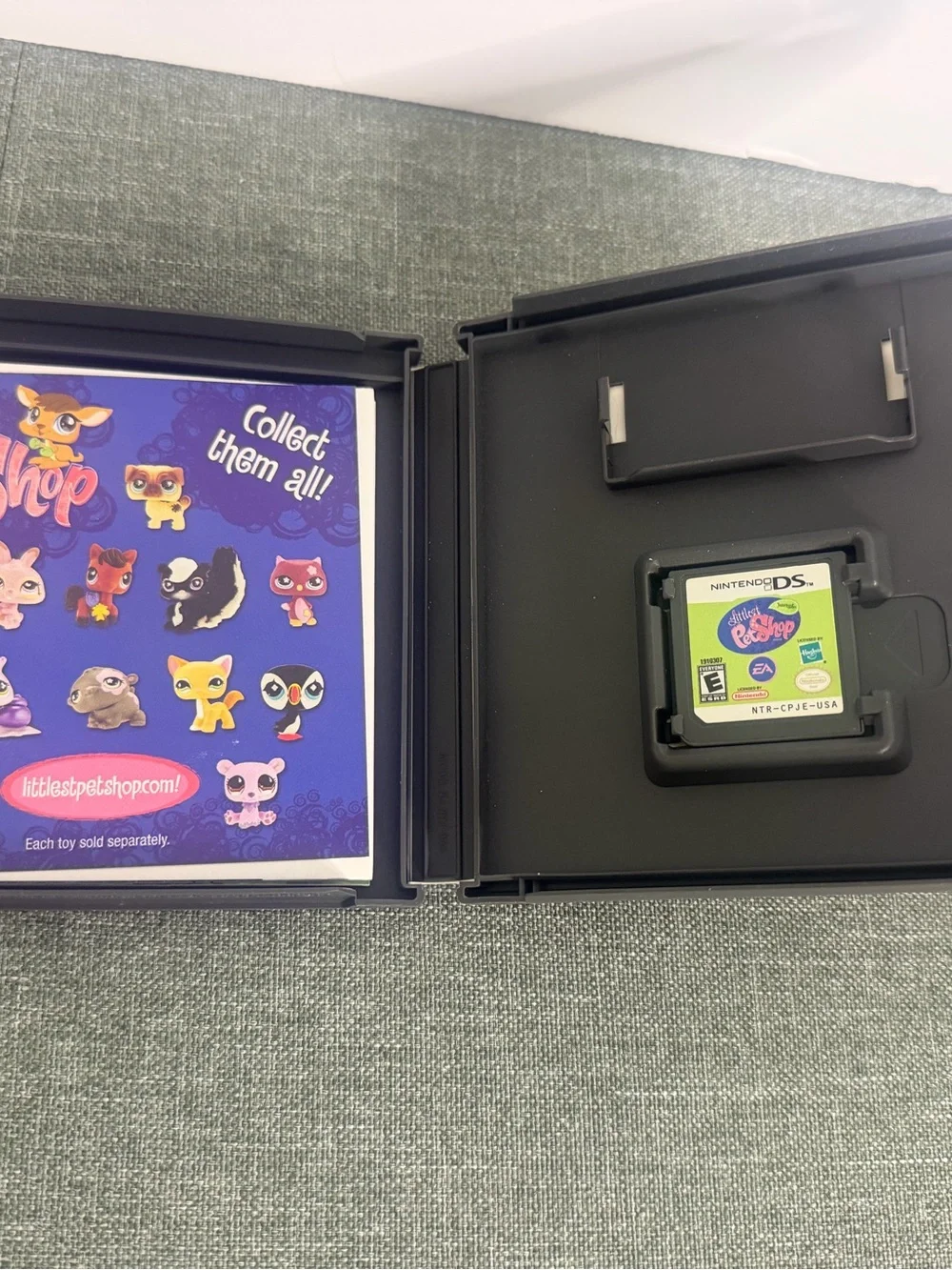 Nintendo platform ds